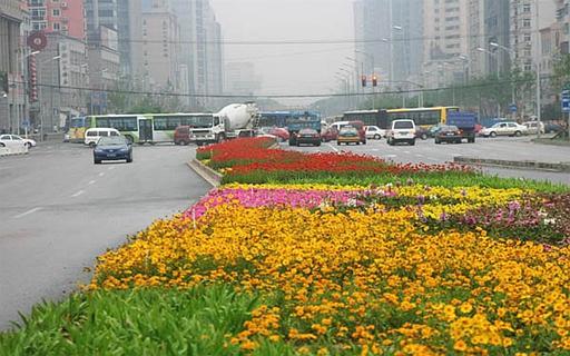 欧亚体育官网入口